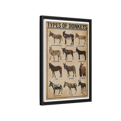 Types Of Donkeys Vertical Poster