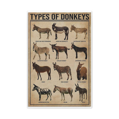 Types Of Donkeys Vertical Poster