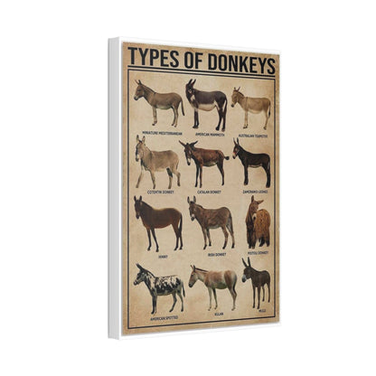 Types Of Donkeys Vertical Poster
