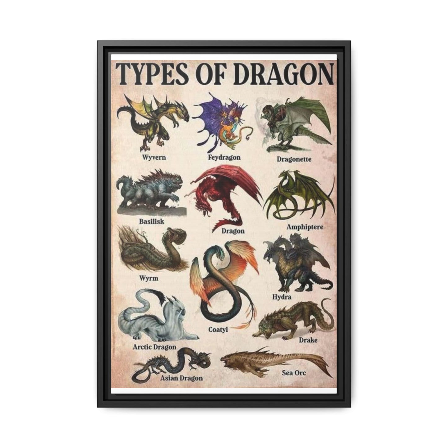 Types Of Dragon Wyvern Feydragon Dragonette Basilisk Vertical Poster