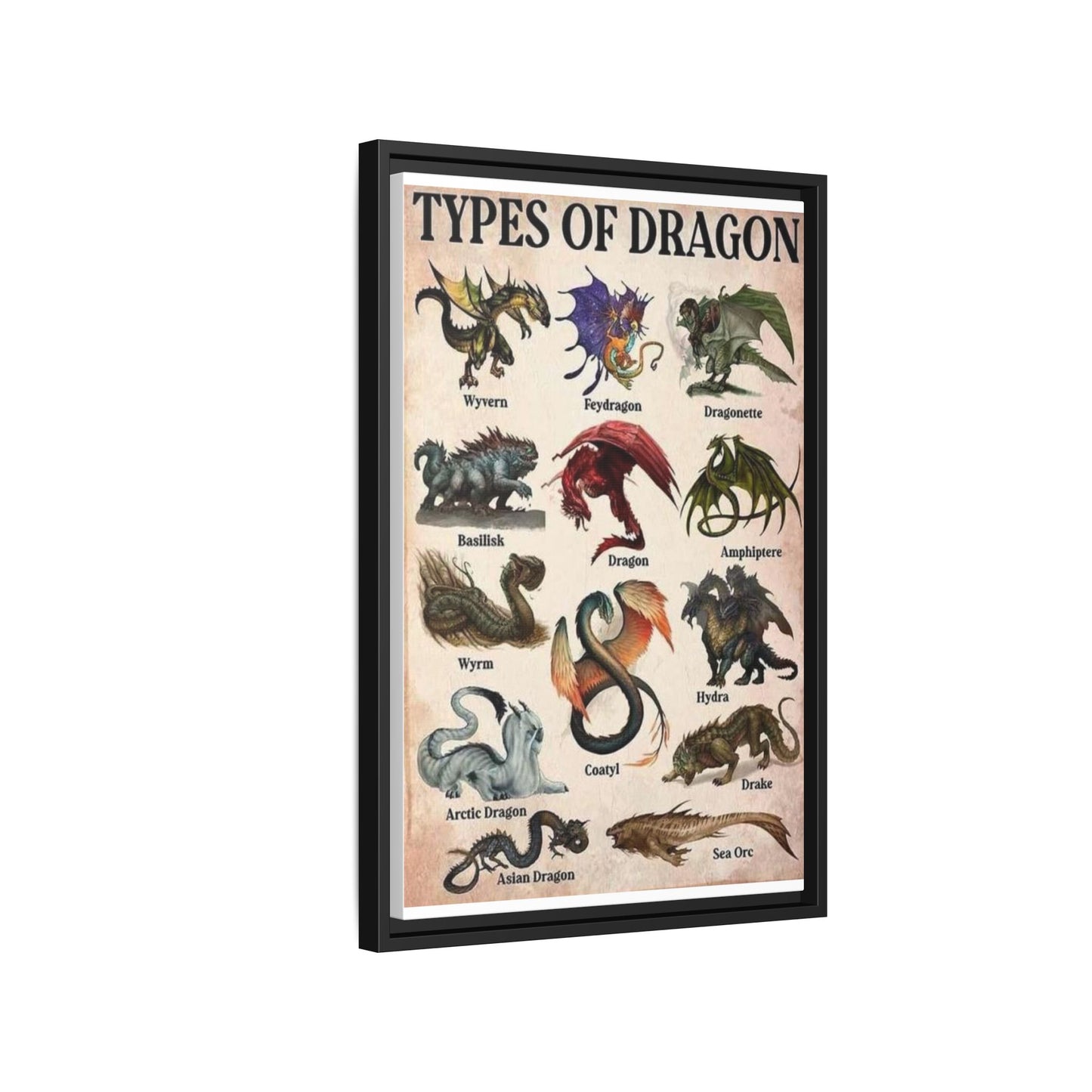 Types Of Dragon Wyvern Feydragon Dragonette Basilisk Vertical Poster