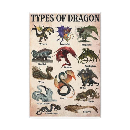 Types Of Dragon Wyvern Feydragon Dragonette Basilisk Vertical Poster