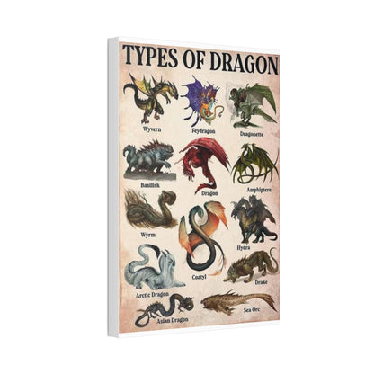 Types Of Dragon Wyvern Feydragon Dragonette Basilisk Vertical Poster
