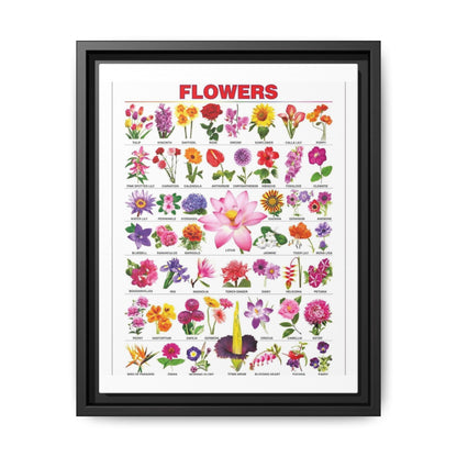 Types Of Flowers Species Identification Poster, Botanical Guide Vertical Poster