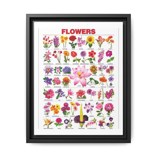 Types Of Flowers Species Identification Poster, Botanical Guide Vertical Poster