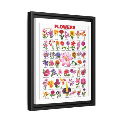 Types Of Flowers Species Identification Poster, Botanical Guide Vertical Poster
