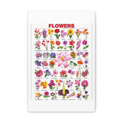 Types Of Flowers Species Identification Poster, Botanical Guide Vertical Poster