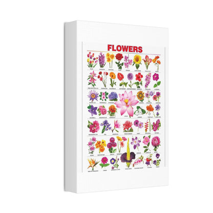 Types Of Flowers Species Identification Poster, Botanical Guide Vertical Poster