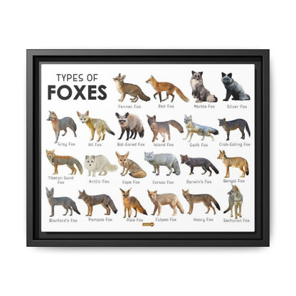 Types Of Foxes Species Identification Poster, Wildlife Guide Vertical Poster