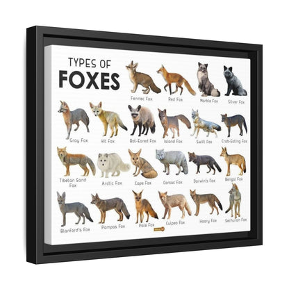 Types Of Foxes Species Identification Poster, Wildlife Guide Vertical Poster