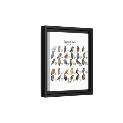 Types Of Owls Guide Poster, Different Owl Species Identification Vertical Poster