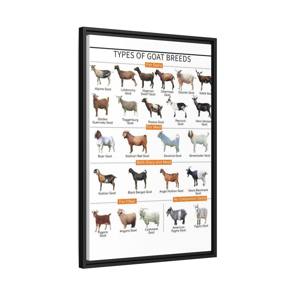 Types of Goat Breeds Vertical Poster and Canvas