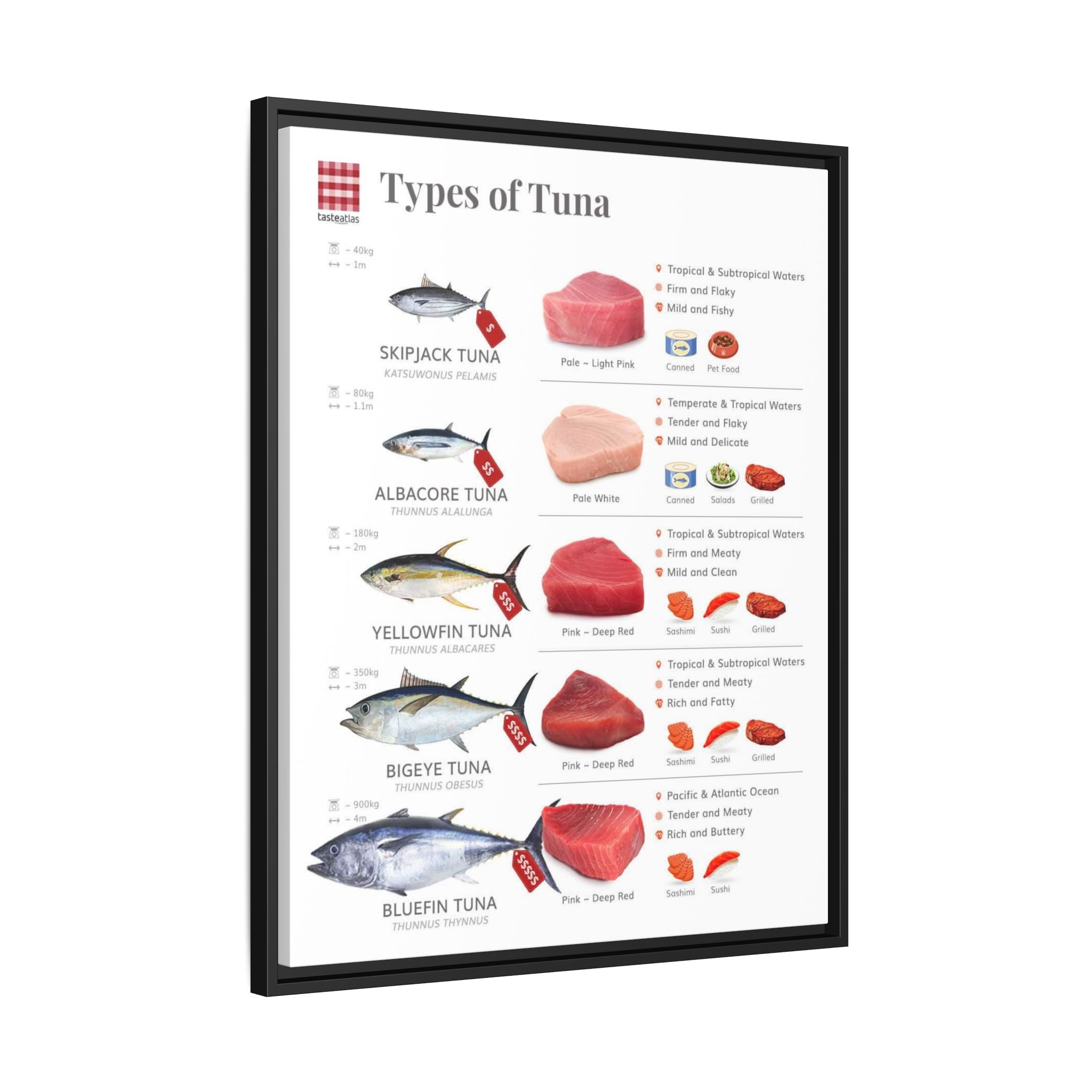 Types of Tuna Poster, Tuna Species Comparison Chart, Seafood Identification Kitchen Wall Art Canvas Print
