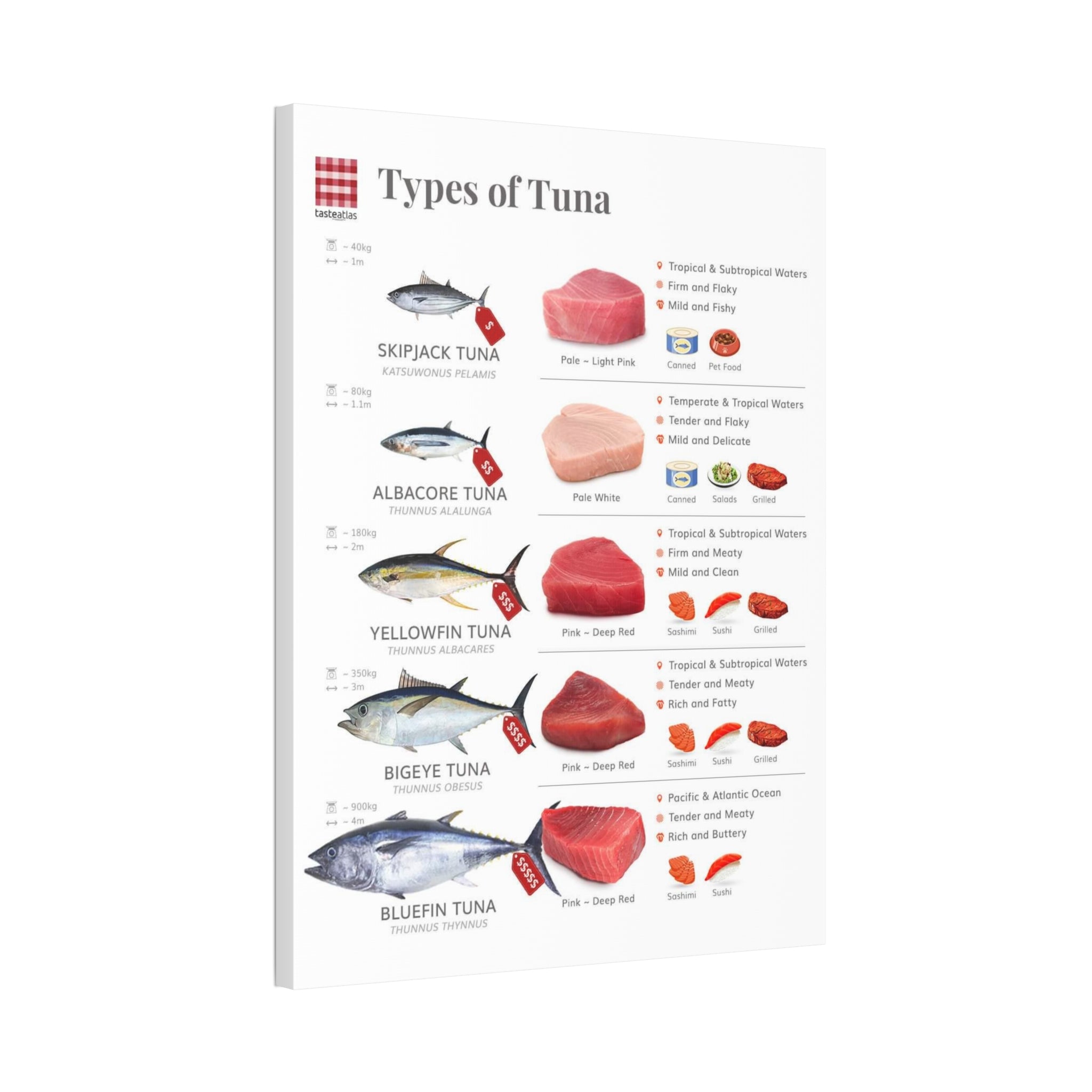 Types of Tuna Poster, Tuna Species Comparison Chart, Seafood Identification Kitchen Wall Art Canvas Print