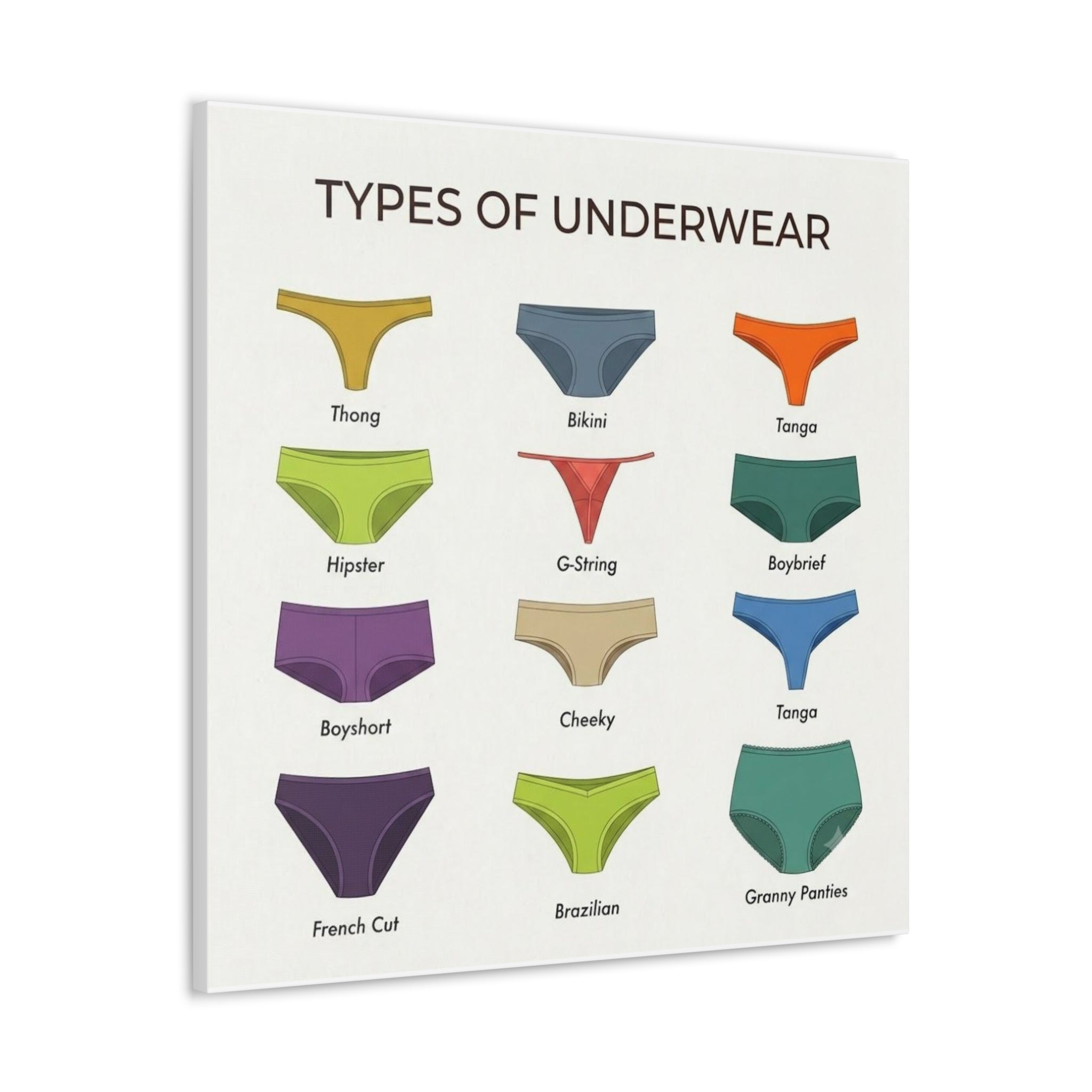 Types of Underwear Poster, Women's Underwear Style Guide Chart Print, Lingerie Identification Wall Art, Fashion Gift