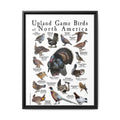 Upland Game Birds of North America Poster, North American Game Bird Identification Chart, Grouse Quail Pheasant Turkey Educational Wall Art, Hunting Bird Field Guide Print, Wildlife Decor