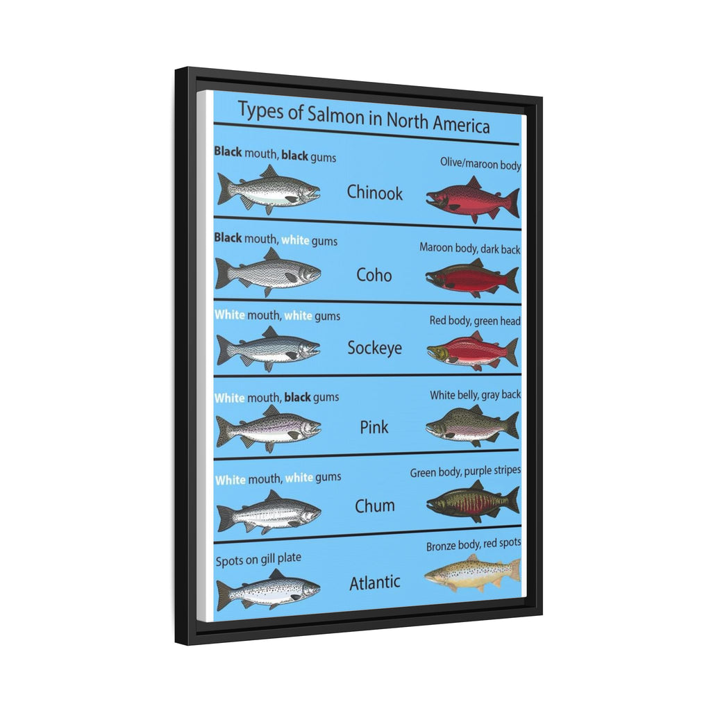 Varieties of Salmon in North America Poster, North American Salmon Identification Chart, Educational Fish Species Canvas Print