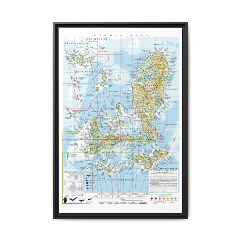 Vesper Bats Family Tree Map Poster, Vespertilionidae Evolution Chart Print, Bat Species Identification Wall Art, Wildlife Gift