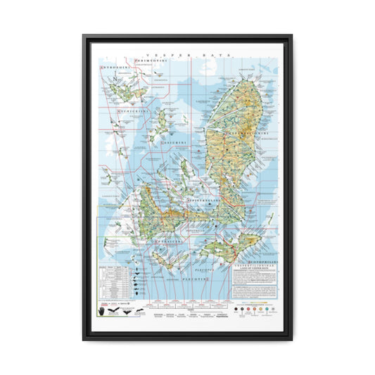Vesper Bats Family Tree Map Poster, Vespertilionidae Evolution Chart Print, Bat Species Identification Wall Art, Wildlife Gift