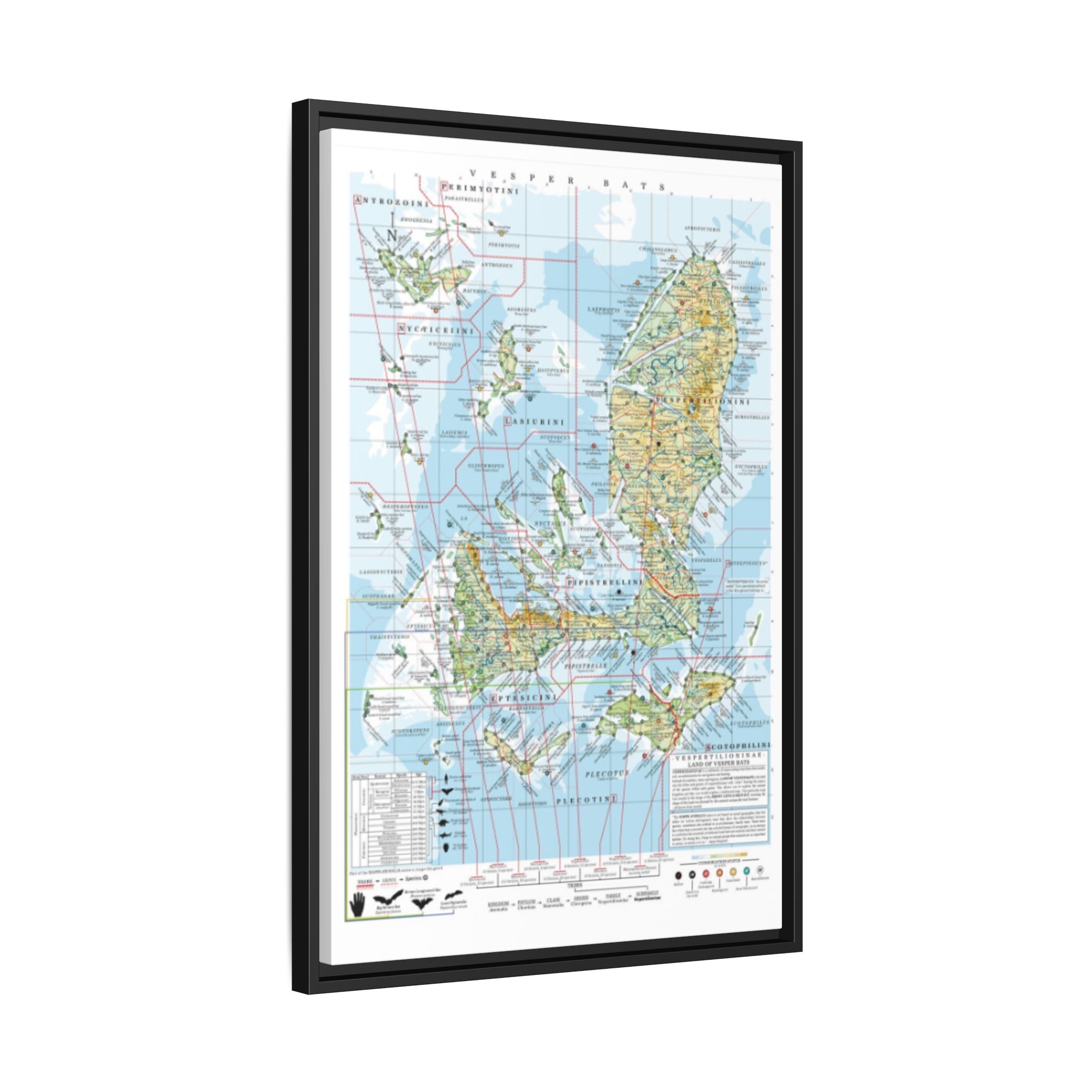 Vesper Bats Family Tree Map Poster, Vespertilionidae Evolution Chart Print, Bat Species Identification Wall Art, Wildlife Gift