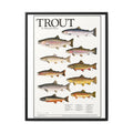 Vintage Trout Fish Identification Chart Poster, Rustic Fishing Wall Art Canvas Print