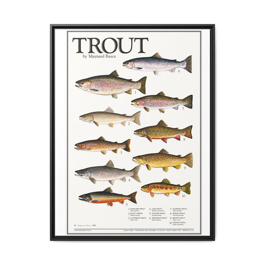 Vintage Trout Fish Identification Chart Poster, Rustic Fishing Wall Art Canvas Print