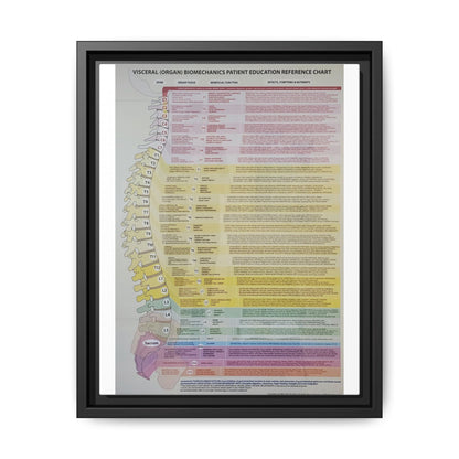 Visceral Organ Biomechanics Guide Poster, Spine And Organ Benefits Reference Vertical Poster