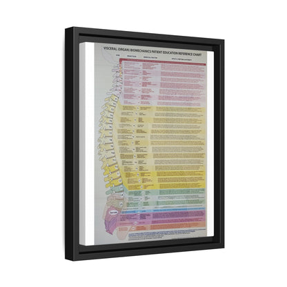 Visceral Organ Biomechanics Guide Poster, Spine And Organ Benefits Reference Vertical Poster