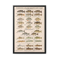 Warmwater Game Fish Identification Chart Poster, Freshwater Fish Species Guide, Bass Perch Pike Catfish Educational Canvas Print