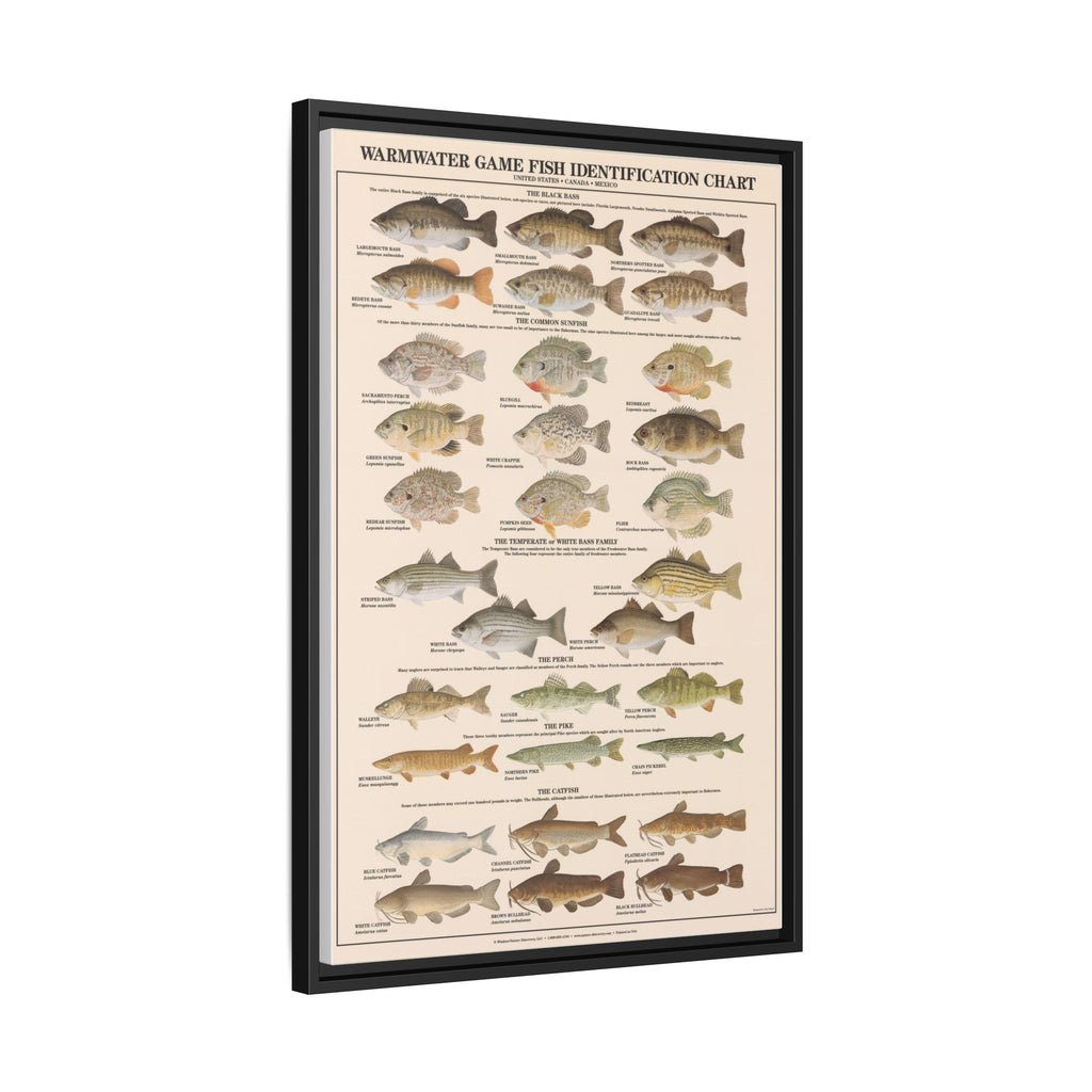 Warmwater Game Fish Identification Chart Poster, Freshwater Fish Species Guide, Bass Perch Pike Catfish Educational Canvas Print