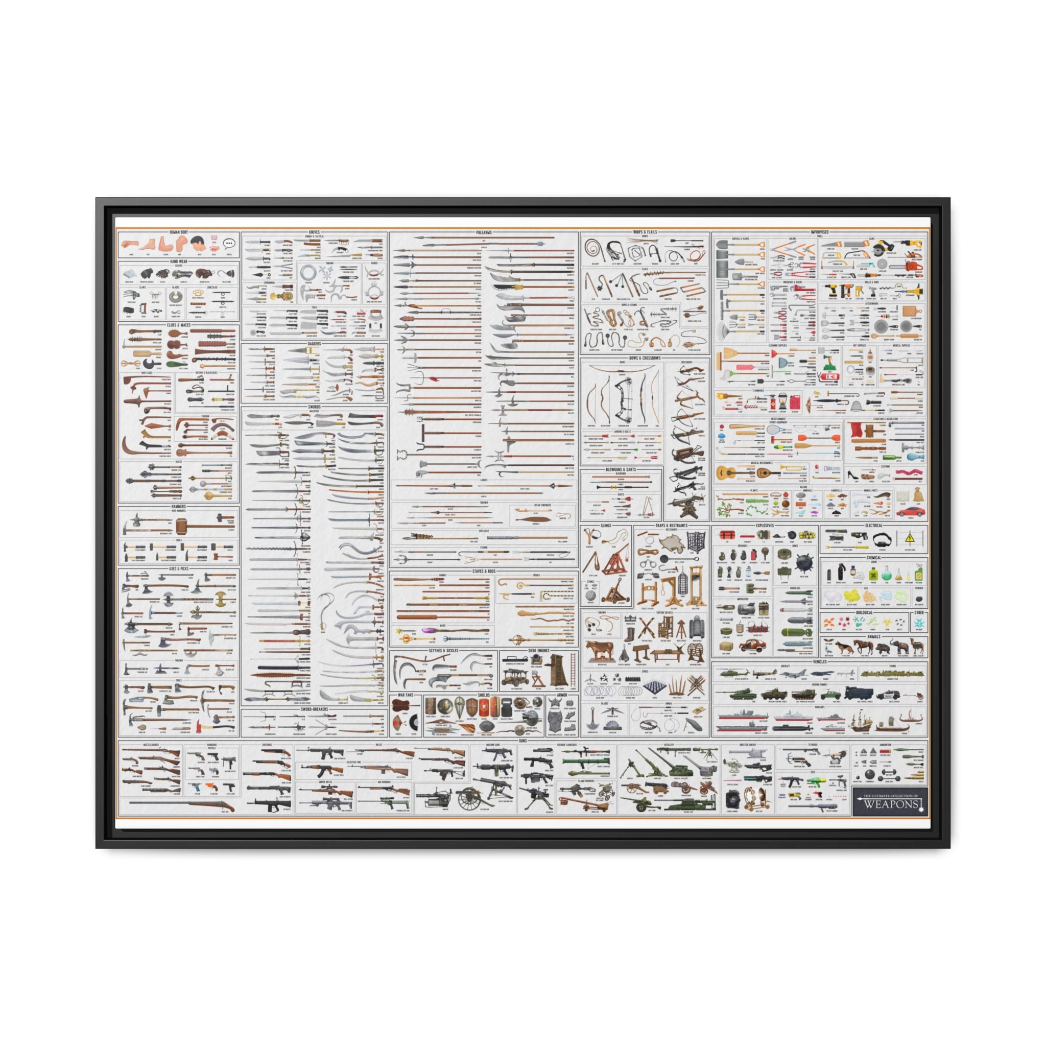 Weapons History and Visual Guide Poster and Canvas, Vintage Weapons Chart Wall Art, Military Arms Collection Print