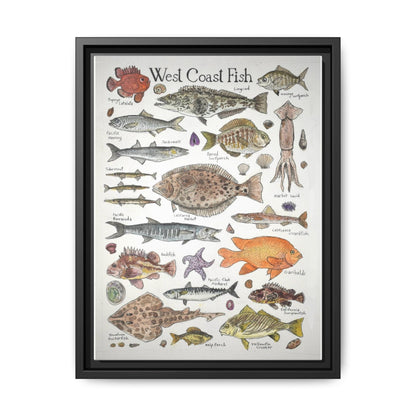 West Coast Fish Poster, West Coast Fish Species Identification Guide Vertical Poster