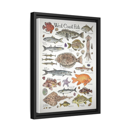 West Coast Fish Poster, West Coast Fish Species Identification Guide Vertical Poster