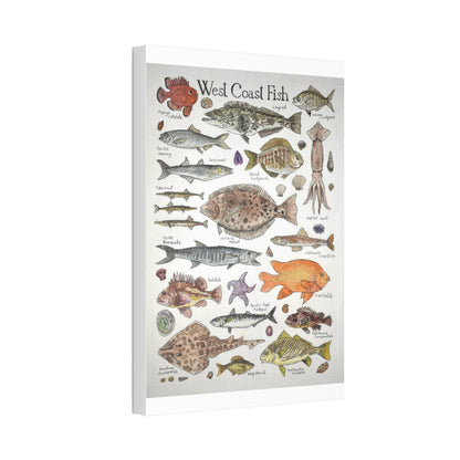 West Coast Fish Poster, West Coast Fish Species Identification Guide Vertical Poster