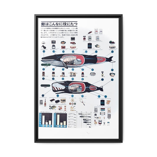 Whales are very useful poster produced in 1963 by Nippon Suisson Co. Ltd. showing the byproducts produced from commercial whale fishing.