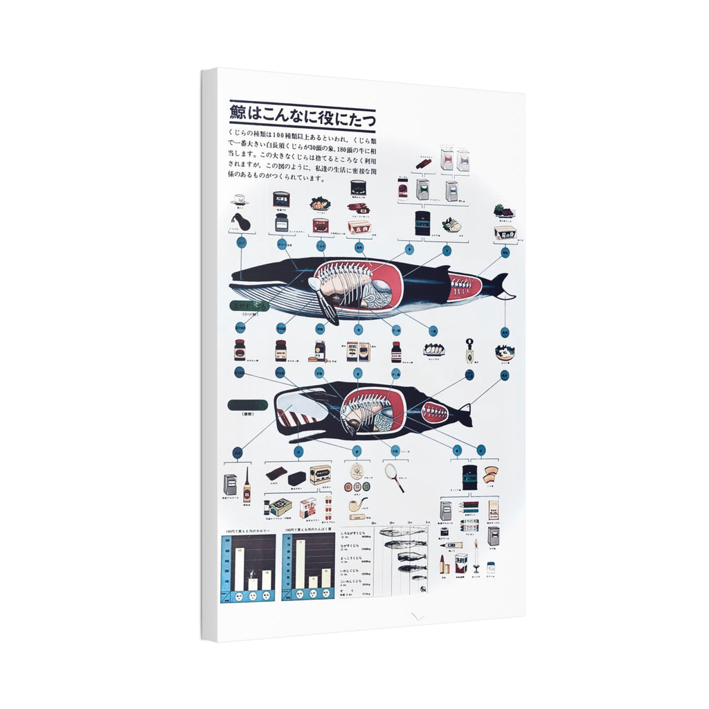 Whales are very useful poster produced in 1963 by Nippon Suisson Co. Ltd. showing the byproducts produced from commercial whale fishing.