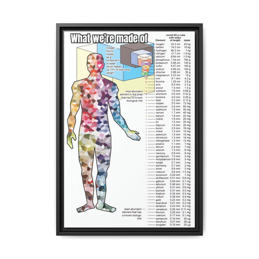What We're Made Of Human Body Elements Oxygen Carbon Hydrogen Vertical Canvas And Poster