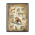 Wild Cats of Africa Poster, African Wild Cat Species Identification Chart Educational Wall Art Canvas Print