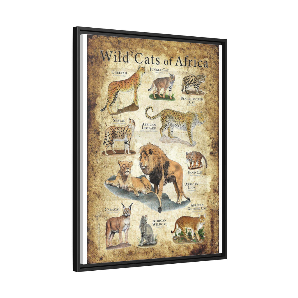 Wild Cats of Africa Poster, African Wild Cat Species Identification Chart Educational Wall Art Canvas Print