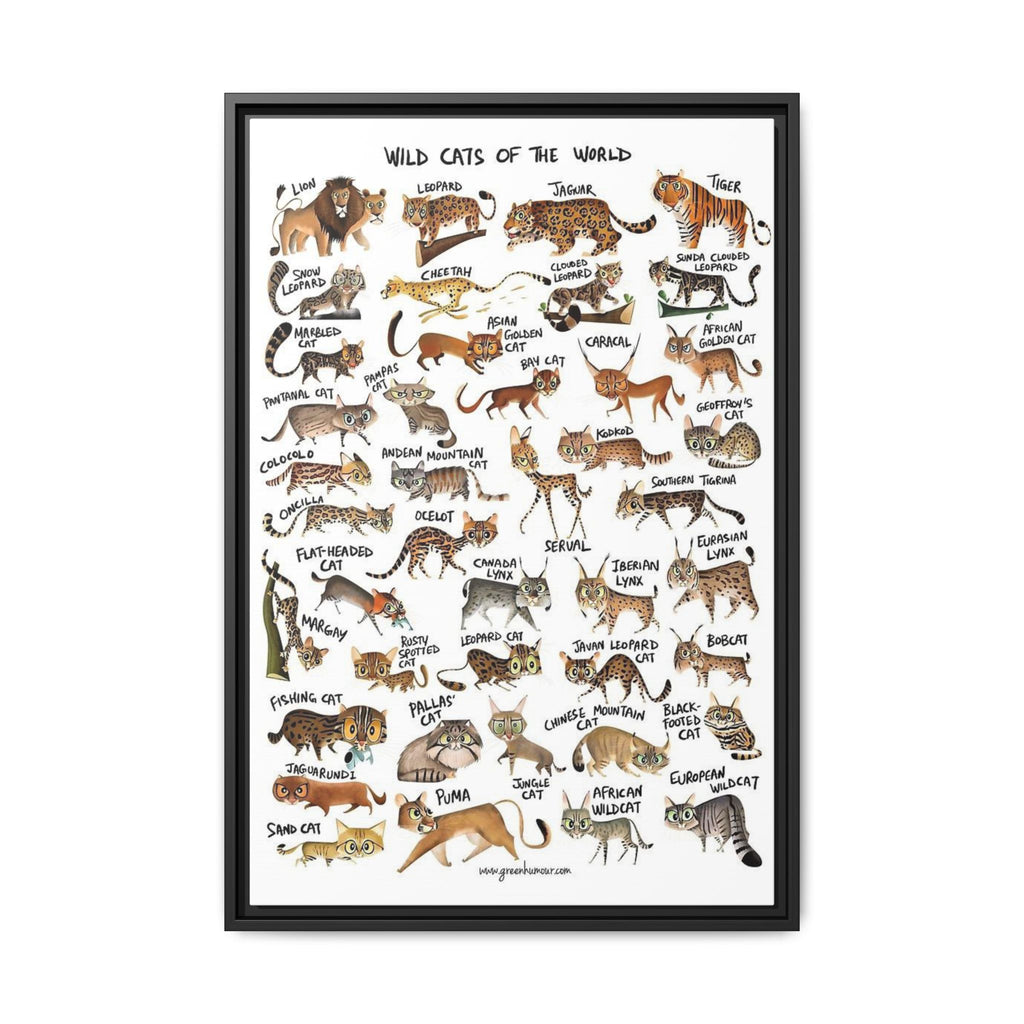 Wild Cats of the World Poster, Wild Cat Species Identification Chart, Educational Feline Wildlife Canvas Print