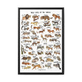 Wild Cats of the World Poster, Wild Cat Species Identification Chart, Educational Feline Wildlife Canvas Print
