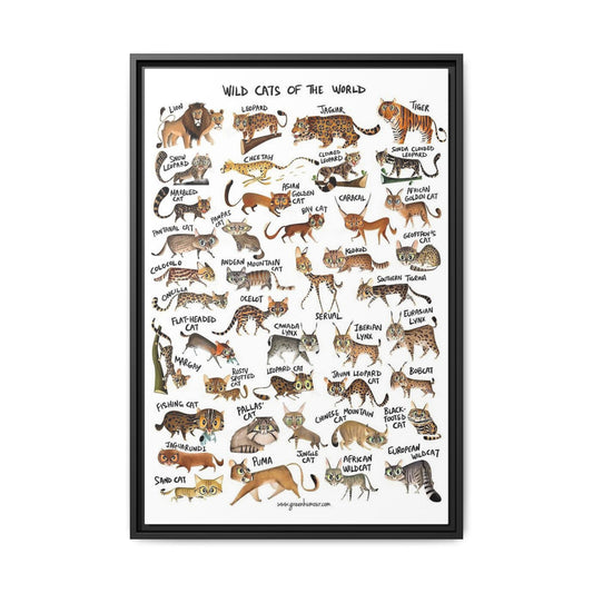 Wild Cats of the World Poster, Wild Cat Species Identification Chart, Educational Feline Wildlife Canvas Print