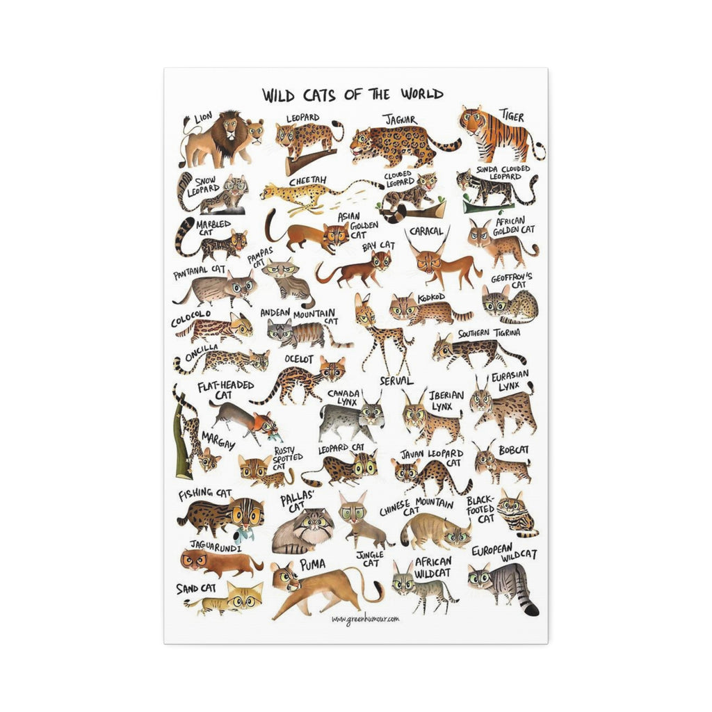 Wild Cats of the World Poster, Wild Cat Species Identification Chart, Educational Feline Wildlife Canvas Print