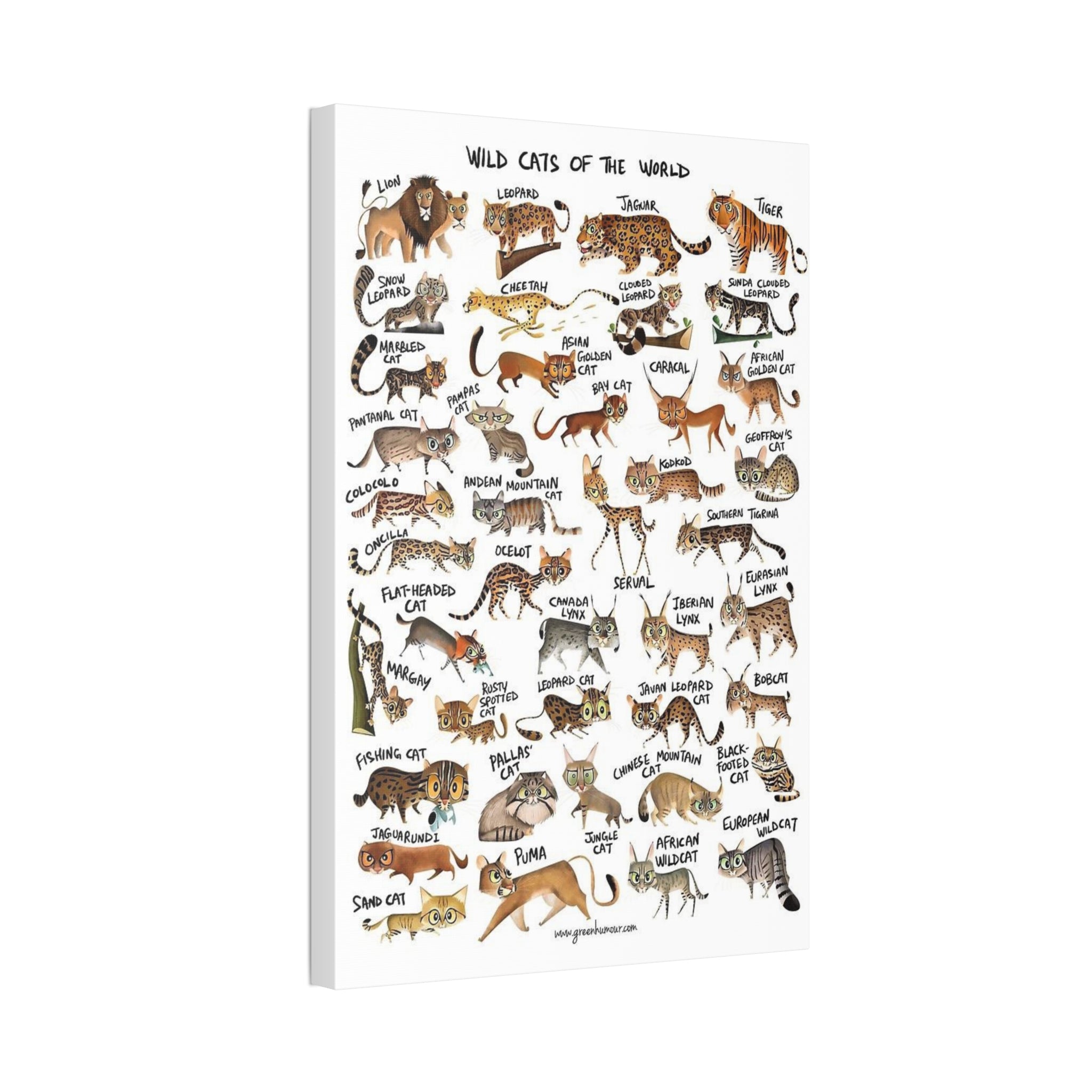 Wild Cats of the World Poster, Wild Cat Species Identification Chart, Educational Feline Wildlife Canvas Print