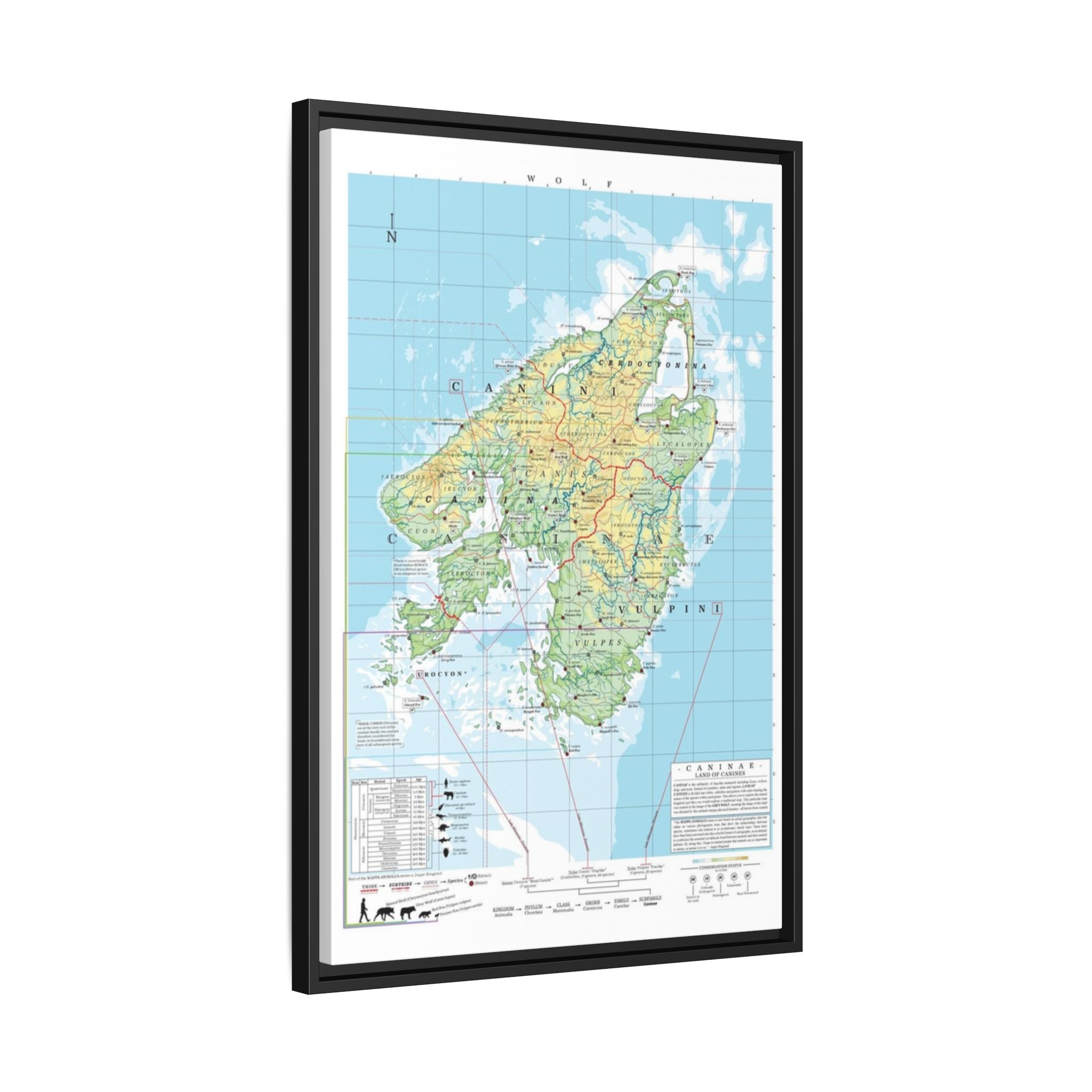 Wolf Family Tree Map Poster, Canidae Evolution Chart Print, Wolf Species Identification Wall Art, Wildlife Gift