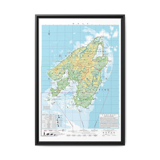 Wolf Family Tree Map Poster, Canidae Evolution Chart Print, Wolf Species Identification Wall Art, Wildlife Gift