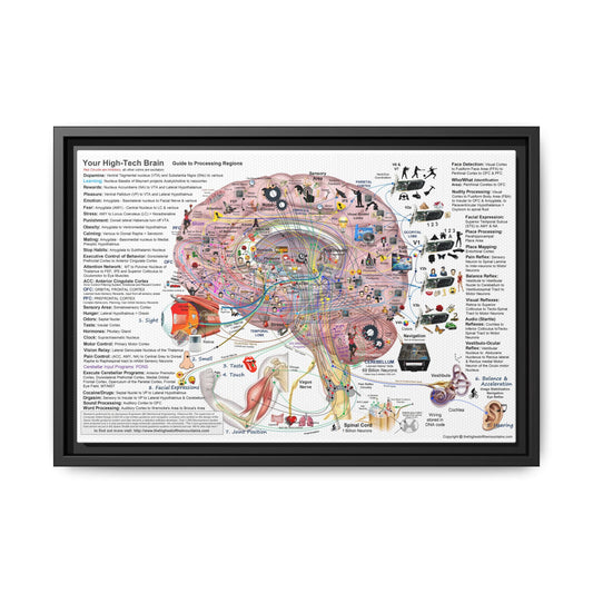 Your High Tech Brain Guide To Processing Regions Vertical Poster