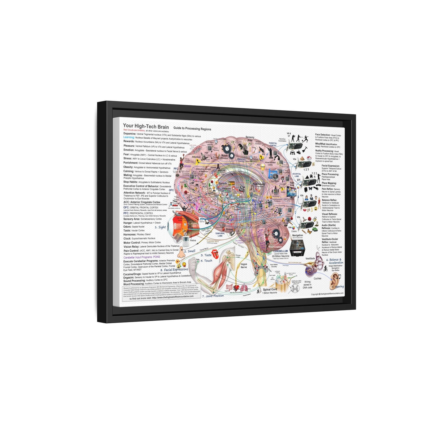 Your High Tech Brain Guide To Processing Regions Vertical Poster