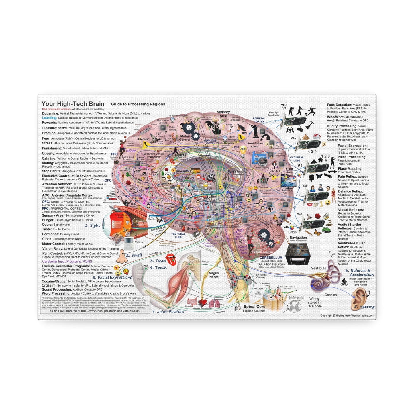 Your High Tech Brain Guide To Processing Regions Vertical Poster